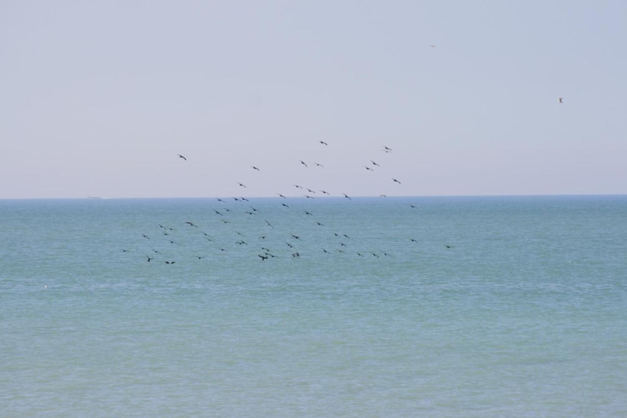 A Cote De La Mer เอิลท์ ภายนอก รูปภาพ